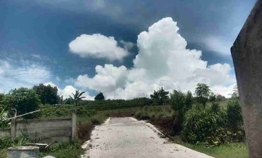 Tanah Kavling Siap Bangun – SHM – Promo Spesial Ngamprah KBB