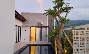 Villa Baru yang Indah di Sawah Dijual di Lovina, Buleleng, Bali
