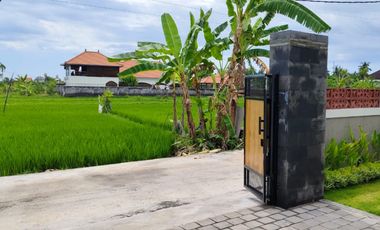 Villa Baru yang Indah di Sawah Dijual di Lovina, Buleleng, Bali