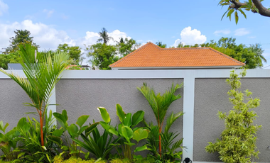 Villa Baru yang Indah di Sawah Dijual di Lovina, Buleleng, Bali
