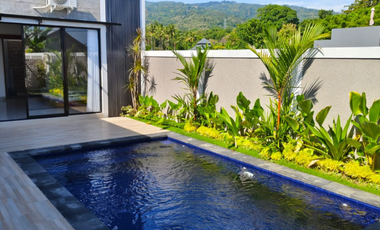 Villa Baru yang Indah di Sawah Dijual di Lovina, Buleleng, Bali