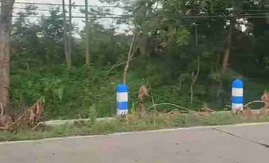 Lahan industri luas 15 HA harga 400 ribu permeter, 15 km dari gerbang tol Nganjuk