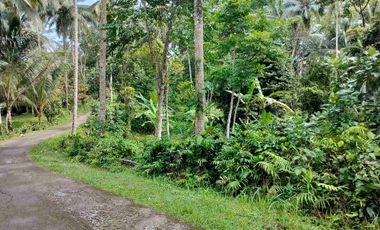 jual tanah murah penebel rejasa.