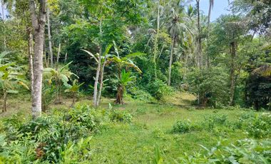 jual tanah murah penebel rejasa.