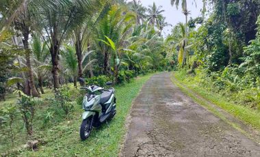 jual tanah murah penebel rejasa.