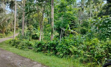 jual tanah murah penebel rejasa.