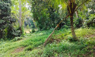 jual tanah murah penebel rejasa.