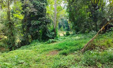 jual tanah murah penebel rejasa.