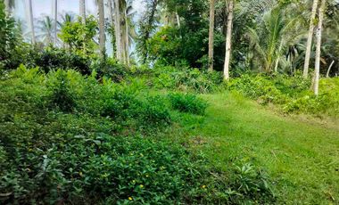 jual tanah murah penebel rejasa.