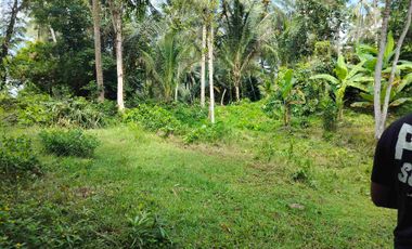 jual tanah murah penebel rejasa.