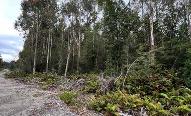 Parcela con bosque en Dalcahue, a 20 min del aeropuerto