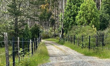 Parcela con bosque en Dalcahue, a 20 min del aeropuerto