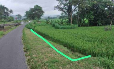 Tana View Sawah Asri dan Pegunungan Menoreh dekat Kopi ampirono.