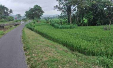 Tana View Sawah Asri dan Pegunungan Menoreh dekat Kopi ampirono.