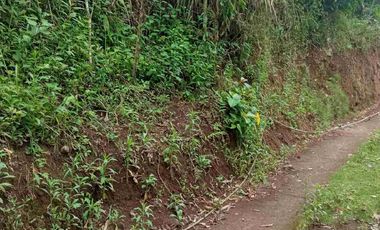 Dijual Tanah kebun Kopi,cengkeh,kelapa dan kakau dekat permukiman akses mudah