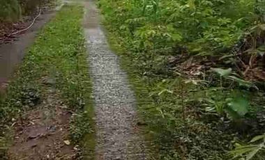 Dijual Tanah kebun Kopi,cengkeh,kelapa dan kakau dekat permukiman akses mudah
