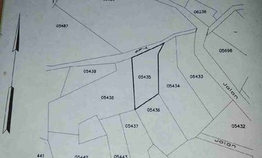 Dijual Tanah kebun Kopi,cengkeh,kelapa dan kakau dekat permukiman akses mudah