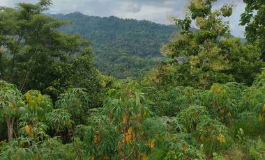 Tanah Murah View Pegununga Cocok Untuk Villa maupun perkebunan.