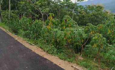 Tanah Murah View Pegununga Cocok Untuk Villa maupun perkebunan.