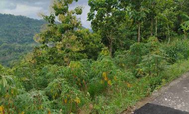 Tanah Murah View Pegununga Cocok Untuk Villa maupun perkebunan.