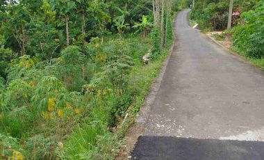 Tanah Murah View Pegununga Cocok Untuk Villa maupun perkebunan.
