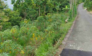 Tanah Murah View Pegununga Cocok Untuk Villa maupun perkebunan.