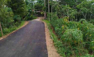 Tanah Murah View Pegununga Cocok Untuk Villa maupun perkebunan.