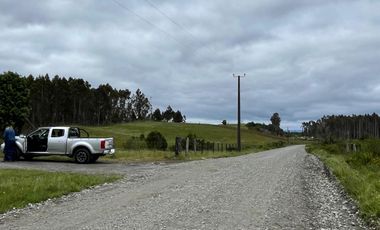 Terreno con bosque frondoso en venta en Dalcahue – Chiloé