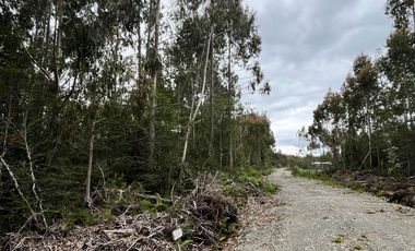 Parcela con rol propio en Dalcahue a 20 min del aeropuerto