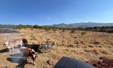 Lotes en Fracc. Santa Margarita en Valle de Juárez, Jalisco