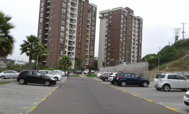 ARRIENDO DEPARTAMENTO FRENTE UNIVERSIDAD SANTA MARIA VIÑA