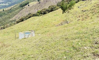 Vendo Lotes en Barbosa Antioquia