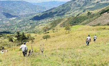 Vendo Lotes en Barbosa Antioquia