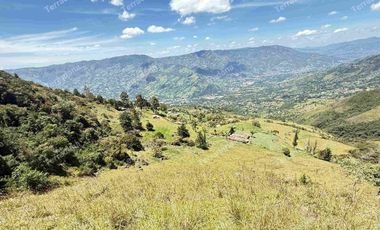 Vendo Lotes en Barbosa Antioquia
