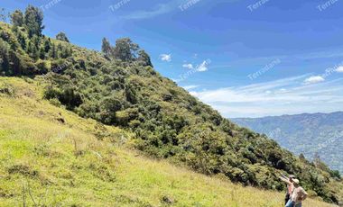 Vendo Lotes en Barbosa Antioquia