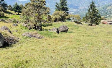 Vendo Lotes en Barbosa Antioquia