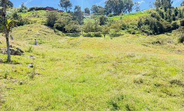 Vendo Lotes en Barbosa Antioquia