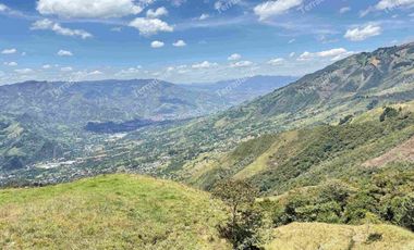 Vendo Lotes en Barbosa Antioquia