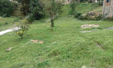 vendo lotes en la Estrella