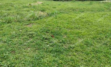 vendo lotes en la Estrella