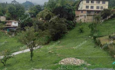 vendo lotes en la Estrella