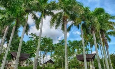 The Brand New 4-Bedroom House for Rent in Pramana Residential Park, Santa Rosa, Laguna