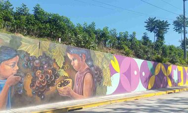 Lote urbano, San Antonio de Cumbaza