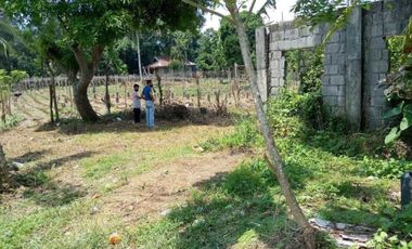 Residential Lot for Sale in Mendez Palocpoc -EGR