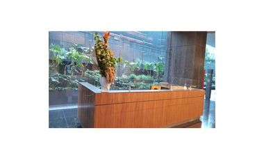 Consultorio Médico Premium en Venta Capital Medical Center San Ángel | Av. Revolución | CDMX