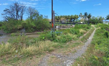 Tanah Tambak Produktif di Pinggir Jalan Nasional Lokasi Strategis dekat Kota Pare-Pare