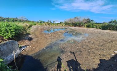 Tanah Tambak Produktif di Pinggir Jalan Nasional Lokasi Strategis dekat Kota Pare-Pare