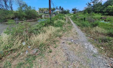 Tanah Tambak Produktif di Pinggir Jalan Nasional Lokasi Strategis dekat Kota Pare-Pare