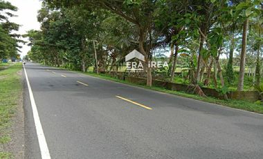 TANAH DIJUAL DI JOGJA DEKAT PANTAI DEWA RUCI