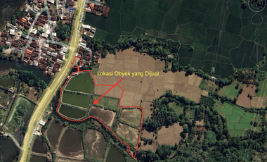 Tanah Tambak Produktif di Lokasi yang strategis Akses Langsung ke Jalan Nasiona